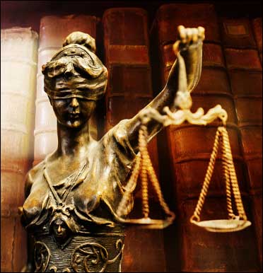 Legal Action Network Legal Action Network